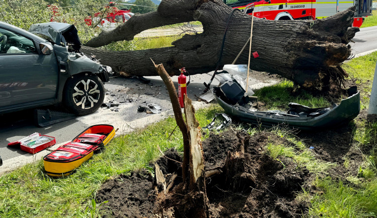 Na projíždějící auto na Bruntálsku spadl strom. Tři lidé se zranili, staršího muže museli záchranáři oživovat