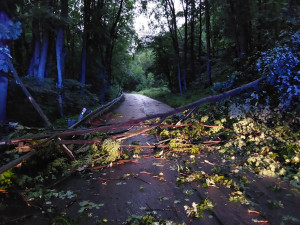 Kvůli silným bouřkám hasiči evakuovali dětský tábor na Přerovsku. Celkem měli v kraji 260 zásahů