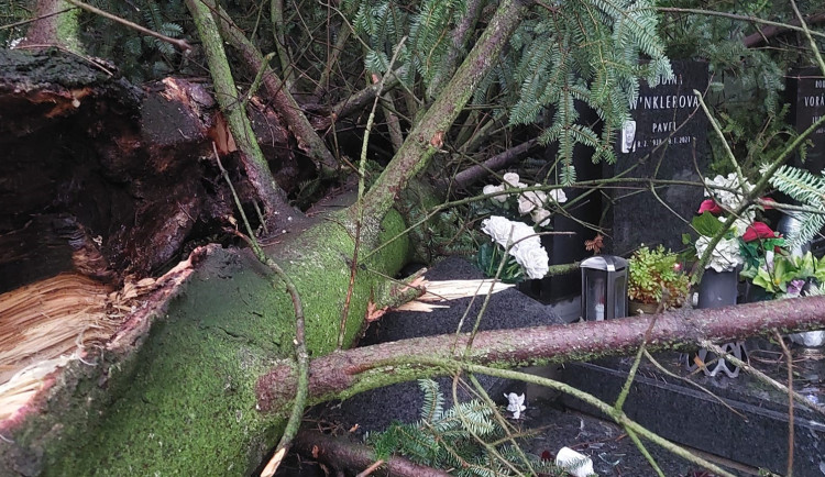 hřbitov Prostějov 2