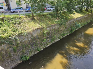 Opevnění koryta Bystřice v Olomouci projde opravou. Vodohospodáři sníží i hladinu Moravy
