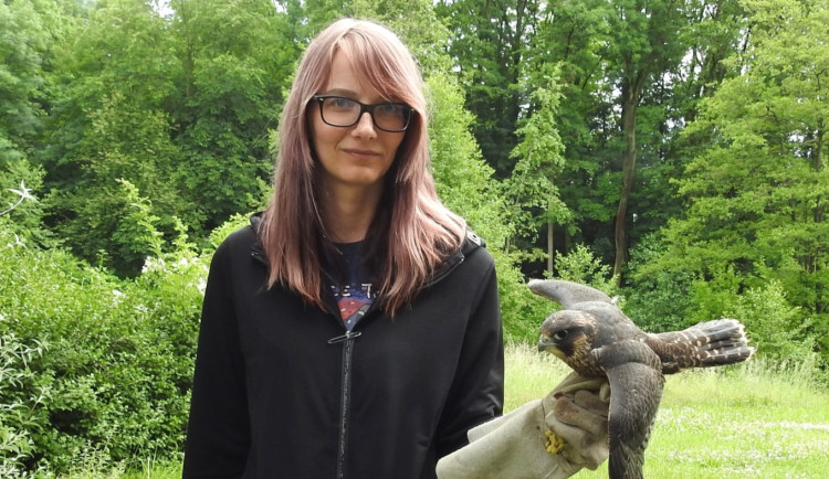 AZAQ3Xfhe6PBFjsawYmY