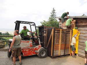 VIDEO: Zpět na Kavkaz. Zubřice ze Zoo Olomouc vyrazily do domoviny v Ázerbájdžánu