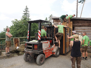 VIDEO: Zpět na Kavkaz. Zubřice ze Zoo Olomouc vyrazily do domoviny v Ázerbájdžánu