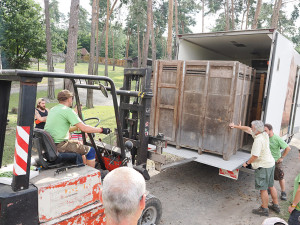 VIDEO: Zpět na Kavkaz. Zubřice ze Zoo Olomouc vyrazily do domoviny v Ázerbájdžánu