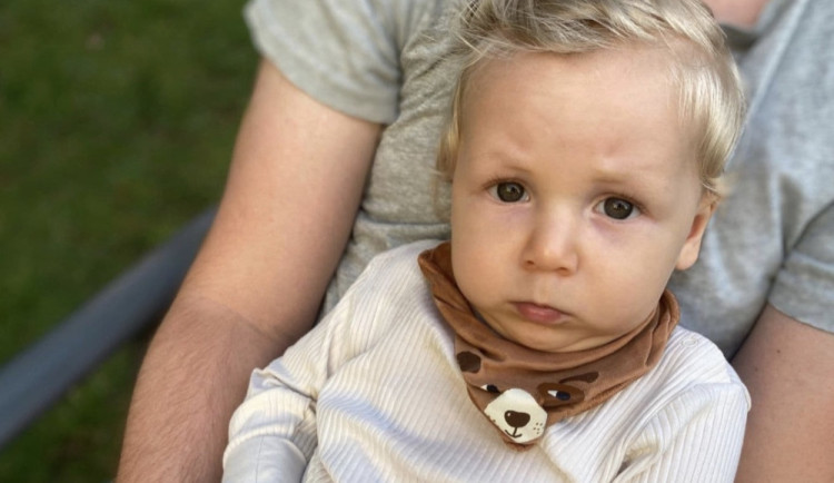 size4-17215441173339-60-dvacet-milionu-pro-maleho-vilika-z-brna-se-vybralo-penize-poslalo-pres-25-tisic-lidi-z-cele-republik