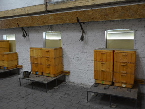 2 - V olomoucké věznici se vězni starají o šest včelstev