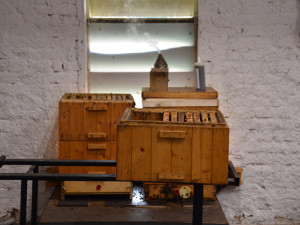 3 - V olomoucké věznici se vězni starají o šest včelstev