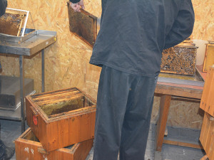 4 - V olomoucké věznici se vězni starají o šest včelstev