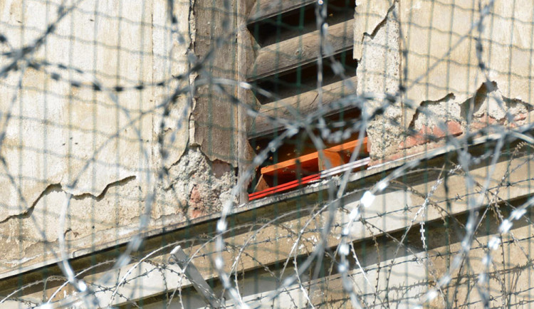 V olomoucké věznici se vězni starají o šest včelstev