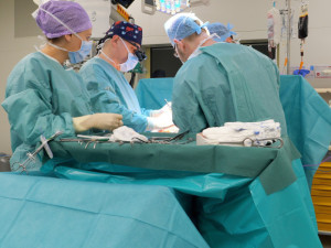 VIDEO: Čeští lékaři jako první na světě transplantovali pacientovi všechny břišní orgány a stěnu od různých dárců