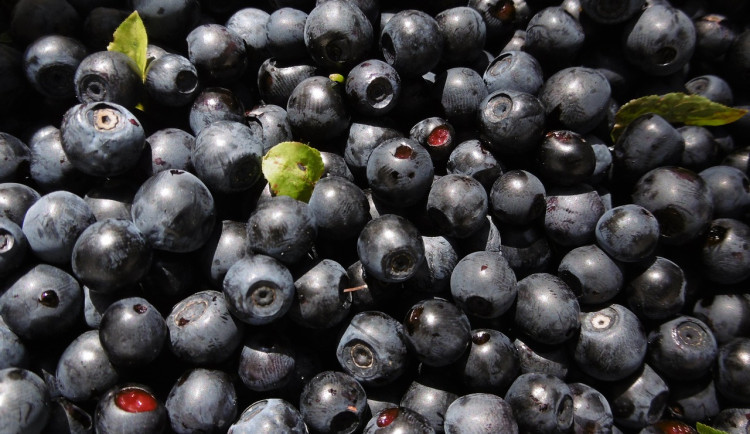 size3-17225362767446-241-boruvky-se-smi-prodavat-jen-na-kila-ne-litry-lide-totiz-zbytecne-kupuji-vzduch