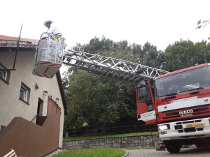 Vosy, včely a sršni útočí. Hasiči v Olomouckém kraji řeší desítky oznámení denně o agresivním bodavém hmyzuat při ohrožení