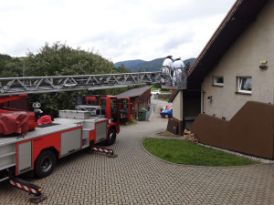 Vosy, včely a sršni útočí. Hasiči v Olomouckém kraji řeší desítky oznámení denně o agresivním bodavém hmyzuat při ohrožení