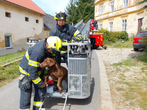 Operace labrador. Z římsy domu v Troubelicích hasiči sundávali psa, který zřejmě pronásledoval kočku