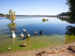 Poděbrady modrá. Plumlovská přehrada černá, voda je plná sinic a zákaz koupání zde platí dál