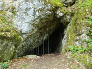 TIP NA VÝLET: Naučnou stezku Třesín u Mladče zvládnou i děti. Zajímavostí je Frištenského sáňkařská dráha