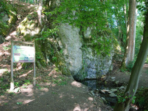 TIP NA VÝLET: Naučnou stezku Třesín u Mladče zvládnou i děti. Zajímavostí je Frištenského sáňkařská dráha