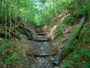 TIP NA VÝLET: Naučnou stezku Třesín u Mladče zvládnou i děti. Zajímavostí je Frištenského sáňkařská dráha