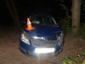 Mladík na Jesenicku narazil s autem do stromu. Za volant sedl pod vlivem alkoholu, opiátů a se zákazem řízení