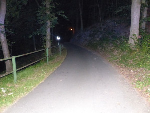 Mladík na Jesenicku narazil s autem do stromu. Za volant sedl pod vlivem alkoholu, opiátů a se zákazem řízení