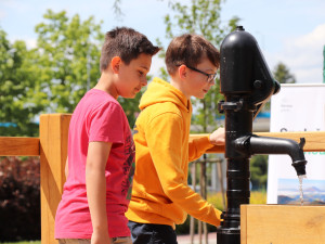 V Přerově vznikne druhá dešťová zahrada, první se setkala s velkým úspěchem