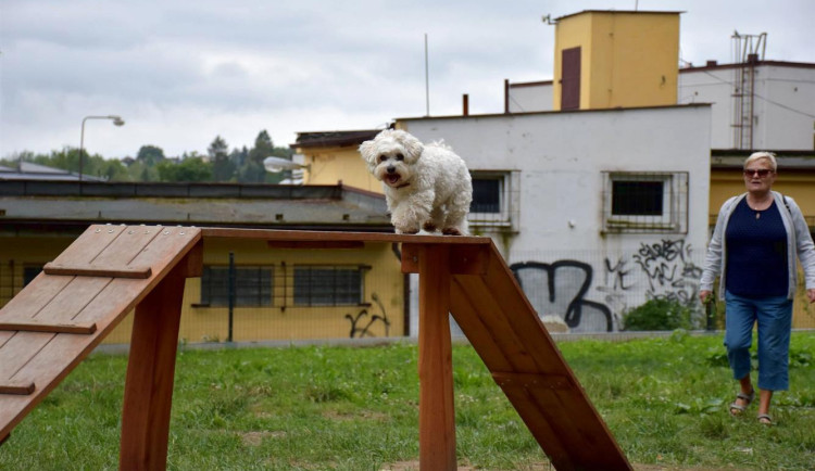 V Písku mají nové psí hřiště, pejskaři na něj čekali celé dva roky