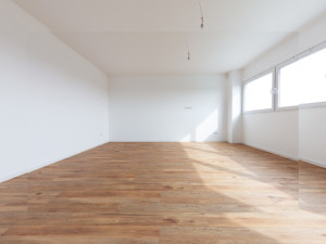 Jak sehnat pronájem bytu se psem: 5 užitečných tipů