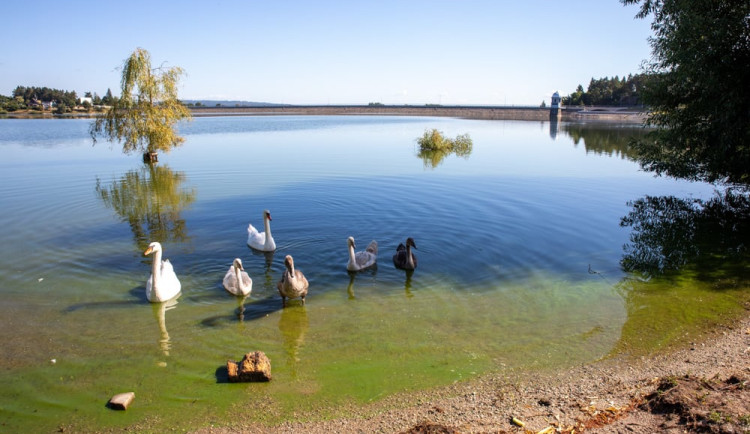 17229703581182-124-plumlov-3-foto-stanislav-helona