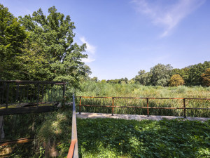 Velký rybník u zámku v Čechách pod Kosířem musel být vypuštěn