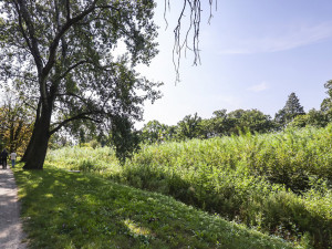 Velký rybník u zámku v Čechách pod Kosířem musel být vypuštěn