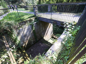 Velký rybník u zámku v Čechách pod Kosířem musel být vypuštěn