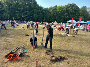 VIDEO: Jak vykopat hrob na čas? V soutěži hrobníků v Maďarsku obsadil tým z Olomouce třetí místo