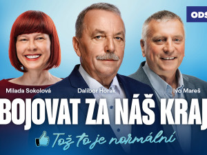 Osobnosti do čela kraje? Tož to je normální!