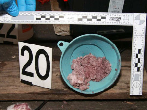 VIDEO: Úspěšná razie v chatě. Policisté zatkli v Přerově recidivistu přímo při výrobě pervitinu