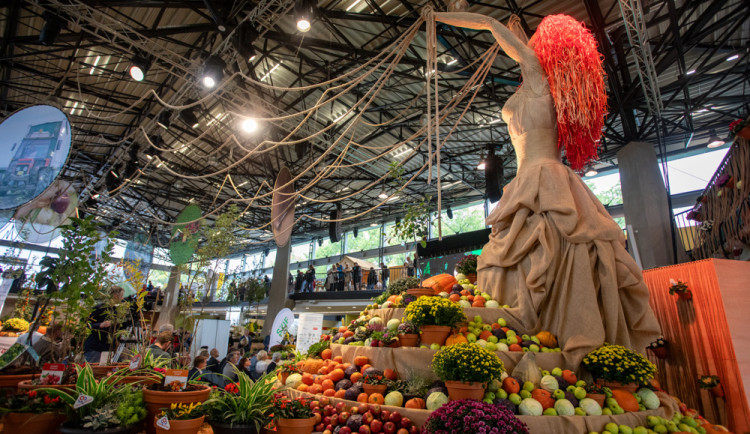 FOTOGALERIE: Podzimní Flora Olomouc otevřela své brány. Hlavní expozici vládne socha Natura