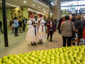 FOTOGALERIE: Podzimní Flora Olomouc otevřela své brány. Hlavní expozici vládne socha Natura