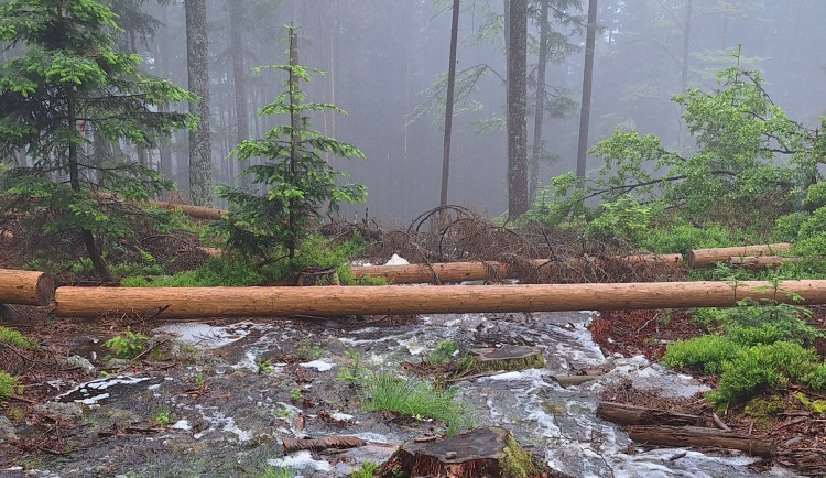 20240601_121646-e1726131834933