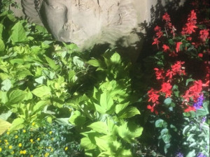 Sochu z písku na olomouckém náměstí poškodil nožem vandal. Strážníci ho opodál zadrželi