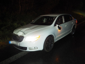 Dvojitý střet s lesní zvěří. Laň na Šumpersku srazili řidiči v obou směrech