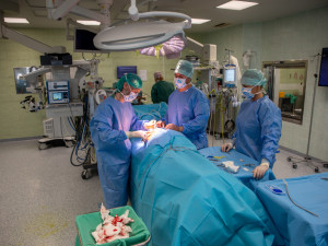 FOTOGALERIE: Šach mat nekonečné bolesti. Lékaři z FN Olomouc implantují nejnovější neurostimulátory