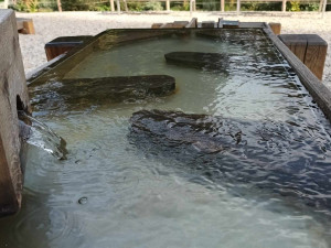 FOTOGALERIE: Dešťová zahrada u přerovské knihovny má mezi dětmi velký úspěch. Dostane sestřičku