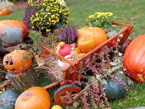 Dušičky a Halloween jsou tu. Olomoucká zoo chystá Strašidelný týden, Pevnost poznání zase setkání s duchy
