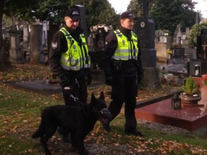 Blíží se Dušičky, strážníci se více zaměří na hřbitovy. Olomoucká MHD posílí provoz do Neředína