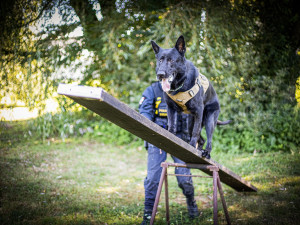 Chceš si nezávazně vyzkoušet fyzické testy k Policii České republiky? 