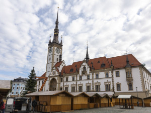 Menší, ale jedinečný. Na olomouckém náměstí bude o Vánocích zářit nazdobený sekvojovec