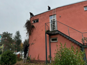 Olomoučtí Skokani rekonstruují baseballový areál. Má být nejmodernější v kraji