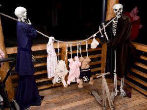 FOTOGALERIE: Strašidelný týden v olomoucké zoo lámal rekordy. Přišlo přes dvacet tisíc dětí a dospělých