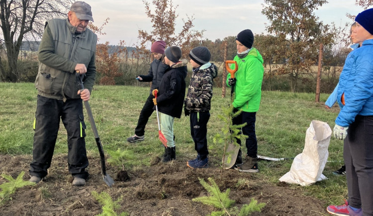 Nově vysázené stromy a keře ochrání Rokytno před hlukem z dálnice