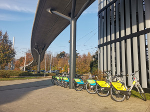 ANKETA: Firma stáhne z ulic Olomouce dvě stě sdílených kol, představovala by si větší podporu města