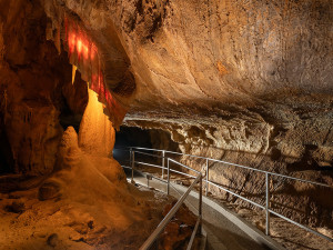 Největší úkryt pro netopýry a vrápence. V Javoříčských jeskyních zimují tisíce letounů